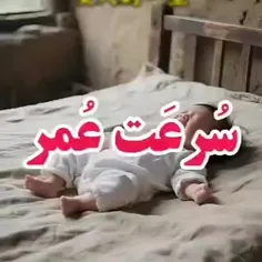 بر سر جوی نشین و گذر عمر ببین!!