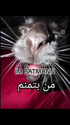 و باز هم ذهن مریض یک ایرانی 🤣🤣