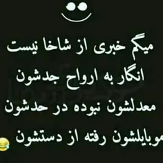 خخخ طبق معمول