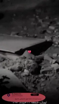 انتقام سخت در راهه، انتقام خون 