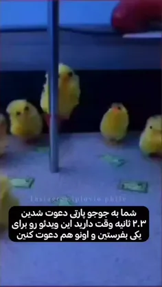 اومدیم جوجو پارتی