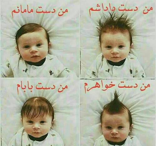 من اگه دست خودم بودم کچل میکردم خخخخخخخ