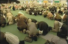 اين افراد قبله را براى خواندن نماز گم کردن.