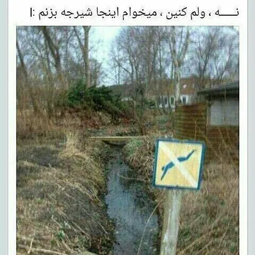 ما تنها ملتی هستیم که: