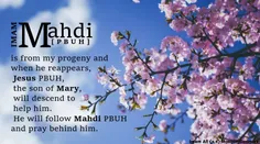 🌹.... Introducing Imam Mahdi in English🌹