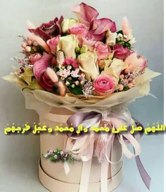 مذهبی mehrnosh22 23102860