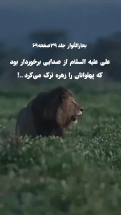 السلام علی المهدی ارواحنافدا