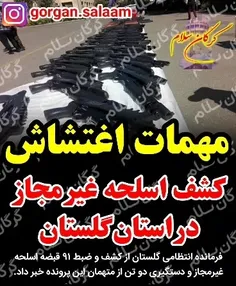فرمانده انتظامی گلستان از کشف و ضبط ۹۱ قبضه اسلحه غیرمجاز
