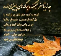 وصی پور