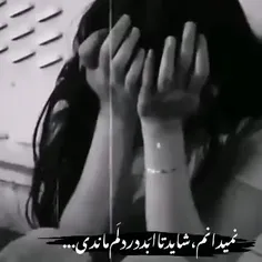 امشب دلم گرفته ...