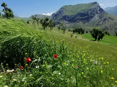 طبیعت شهرآشتی سردشت