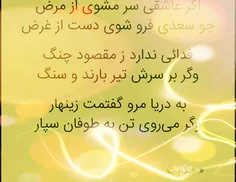 سعدی .فرهنگ کامل یک سرزمین