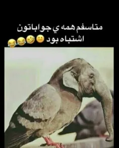 حیوون به این خوشگلی چرا به ذهنتون نرسید بگین😂 #smile #طنز