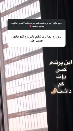 استوری جدید عالیجناب عشق 