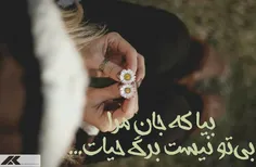 عاشقانه ها zibazazazaza 18320338