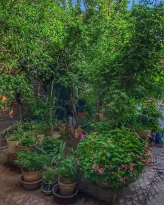 حیاط خونه قدیمی یه چیز دیگه بود ☘️ 