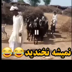 لایک نکن صداش رو مخخخخخخ