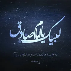 🍂ز غربتش چه بگویم که سینه ها خون است