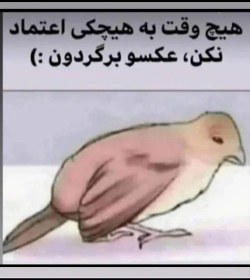 لاکچری عکس نوشته