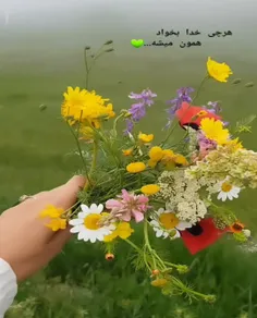 هرچی خدا بخواد همون میشه 💚