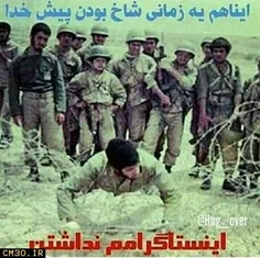 شهادت حال می خواهد نه بال