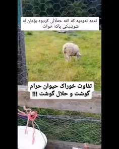 تفاوت خوراک حیوان حرام گوشت و حلال گوشت