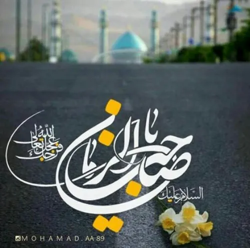 ✨ امام رضا ع