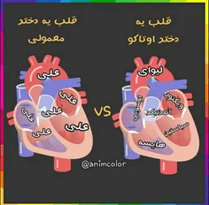 تازه قلب کی پاپر_اوتاکو ها بدتره!!!