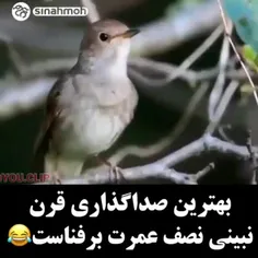 لایک و فالو 😂😂😂