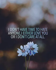ببین فرصت ندارم از کسی متنفر باشم