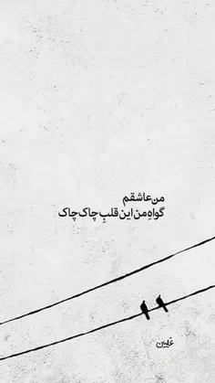 #تو را ساده دوست دارم