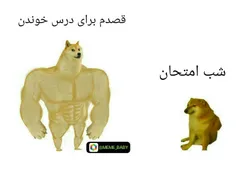 حقیقت😂😉
فالو کن بک میدم