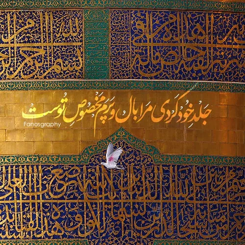 یا امام رضا