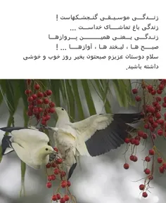 صبح همگی بخیر