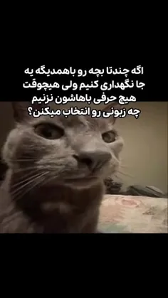 واقعا چه زبونی