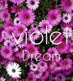 #violet#dream