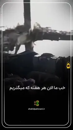 amir13611455 77527336