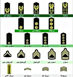 کدومو میخواین؟🧐🧐....من درجه سرهنگ رو می خوام