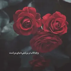 و خدا ناب ترین دنیای من است 