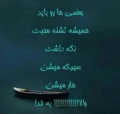 @amirqqqEbi