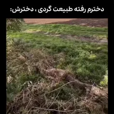 طبیعت گردی