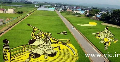 هنر کشاورزان ژاپنی در روستای ایناکادت برای خلق آثار هنری 