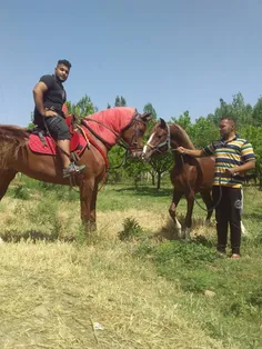 دو قهرمان در یک قاب