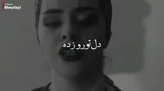 دیگه صدام دل تو رو زده