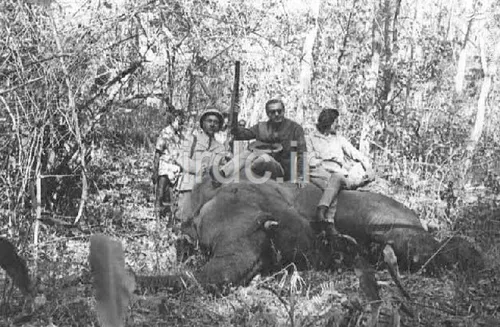 عکس/ محمدرضا پهلوی و همسرش بعد از شکار فیل!