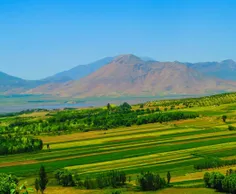 مزارع و باغات روستای اورگان,مشرف به تالاب چغاخور