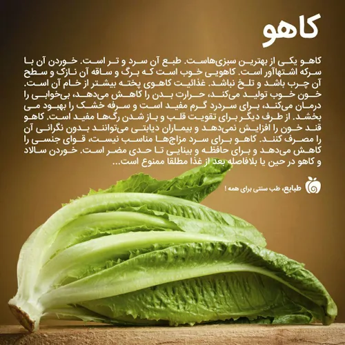 کاهو یکی از بهترین سبزی هاست که البته نباید همراه غذا مصر