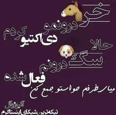 دیگه آره...