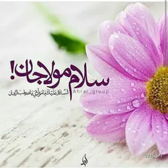 السلام علیک یا ابا صالح المهدی...