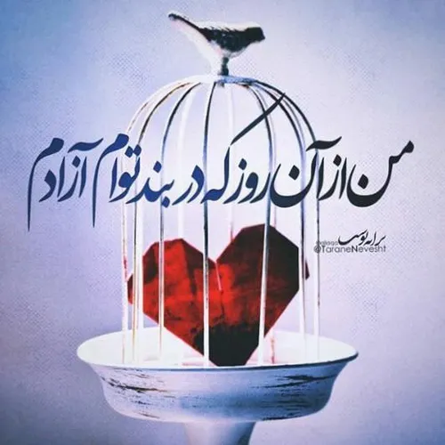 عکس نوشته